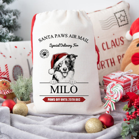 Personalised Christmas Santa Sack for Dogs, Custom Dog Treat Sack Over 100 Breeds