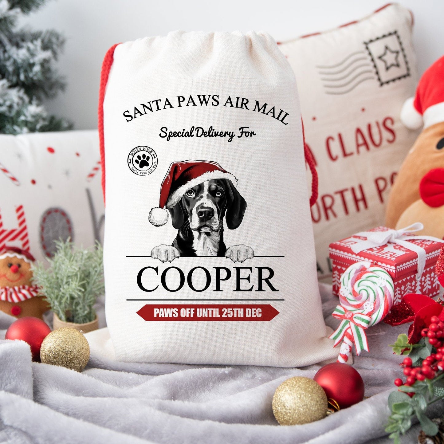 Personalised Christmas Santa Sack for Dogs, Custom Dog Treat Sack Over 100 Breeds
