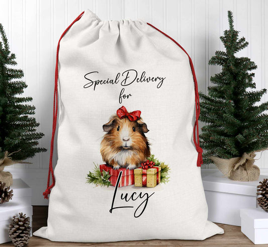 Personalised Christmas Santa Sack – Guinea Pig