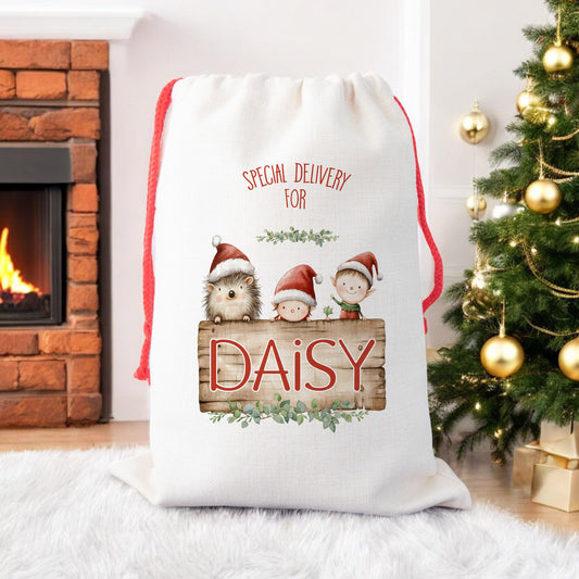Personalised Santa Sack, Gift Sack for Kids Cute Hedgehog