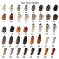 a chart of different hair colors for different types of hair