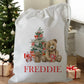 Peronalised Christmas Eve Treat Bag - Teddy Bear Blue, Pink, Red