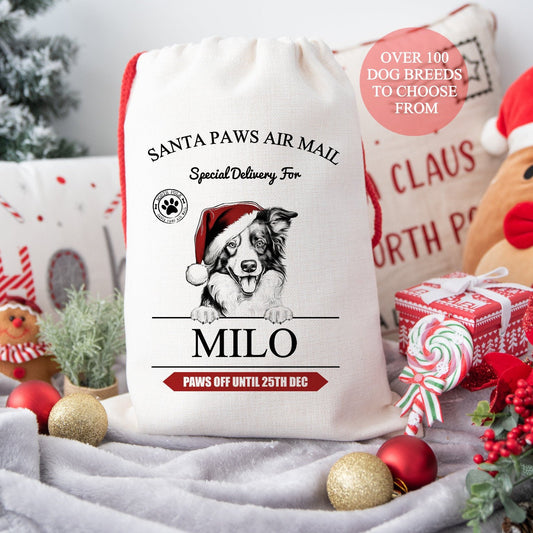 Personalised Christmas Santa Sack for Dogs, Custom Dog Treat Sack Over 100 Breeds