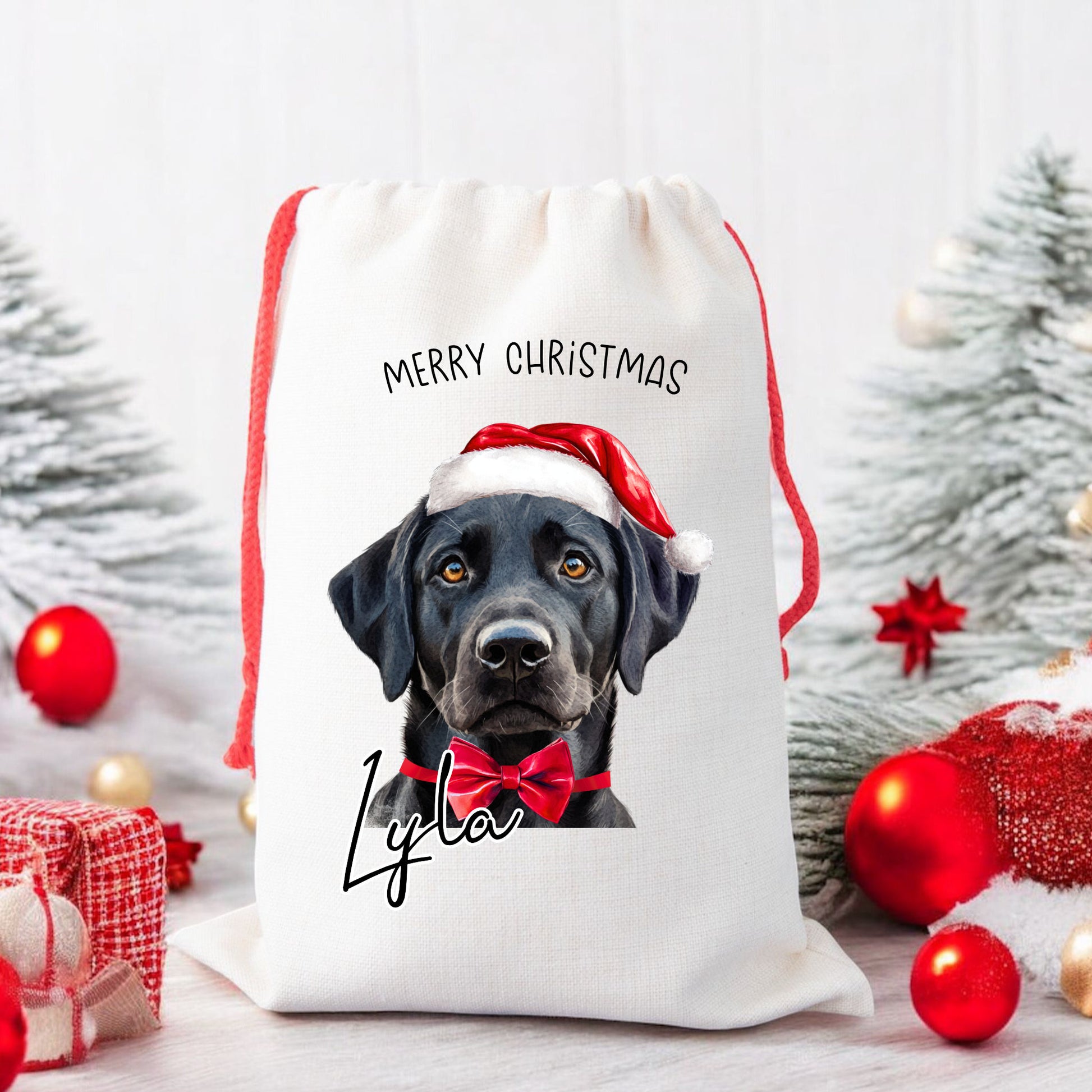 personalised christmas santa sack for dogs, red drawstring bag, with your dogs name on the front.  Perfect for dog lovers