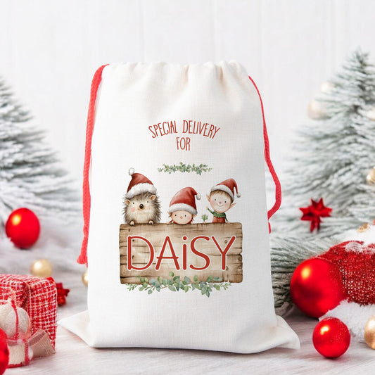Personalised Santa Sack, Gift Sack for Kids Cute Hedgehog