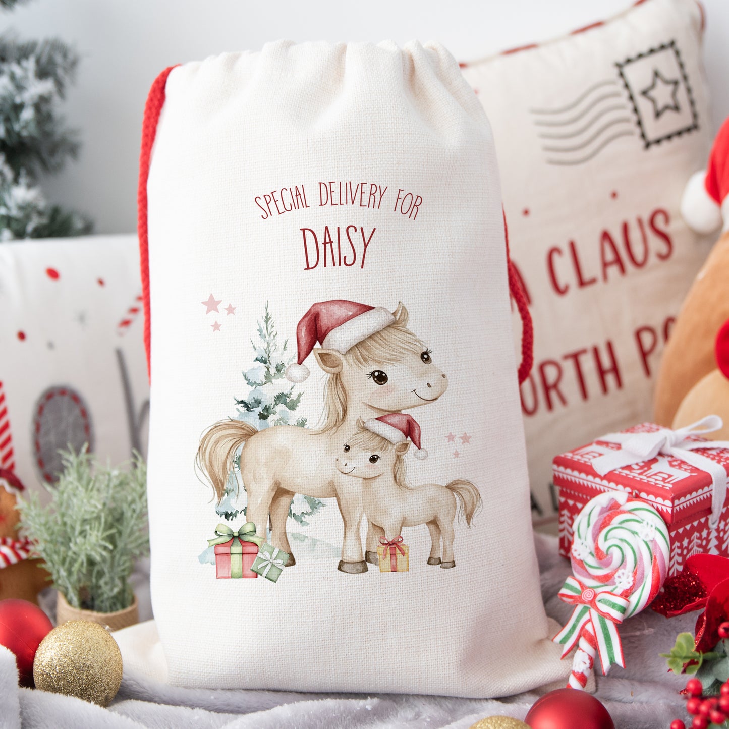 Personalised Santa Sack, Gift Sack for Kids or Adults, Ponies