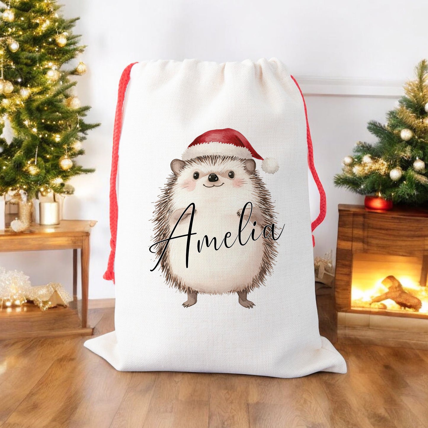 Personalised Santa Sack, Gift Sack for Kids or Adults, Hedgehog