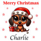 Personalised Christmas Dog Gift Bag, Pampered Pooch Gift Bag, Personalised Pet Gift Bag , Personalised Best Dog Gift Bag