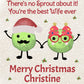 Personalised Christmas Gift Bag , Sprout Christmas Gift Bag, Family Gift Bags, Festive Gift Wrapping Secret Santa Sprout Lovers
