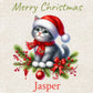 Personalised Christmas Cat Gift Bag, Pampered Animal Gift Bag, Personalised Pet Gift Bag , Personalised Best Cat Gift Bag