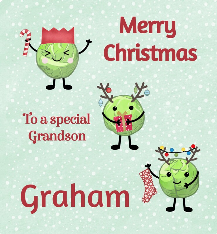 Personalised Christmas Gift Bag ,Personalised Sprout Christmas Gift Bag, Family Gift Bags, Festive Gift Wrapping Secret Santa Sprout Lovers